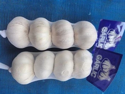 4.5 সেমি রসুন