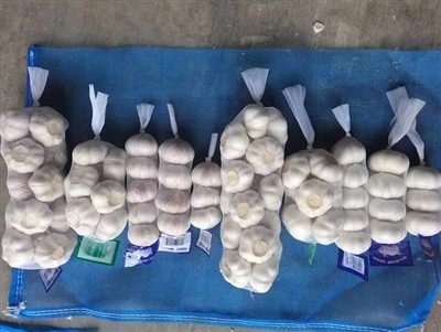 5.5 সেমি রসুন